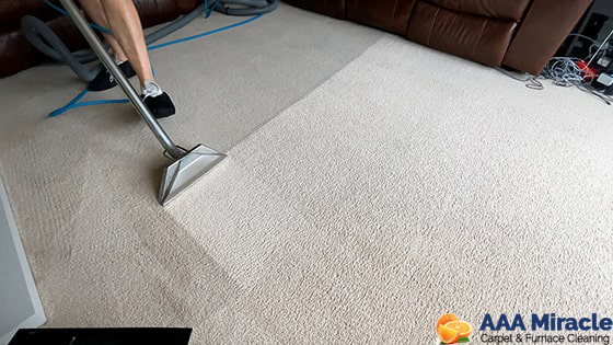 Benefits of Regular Carpet Cleaning